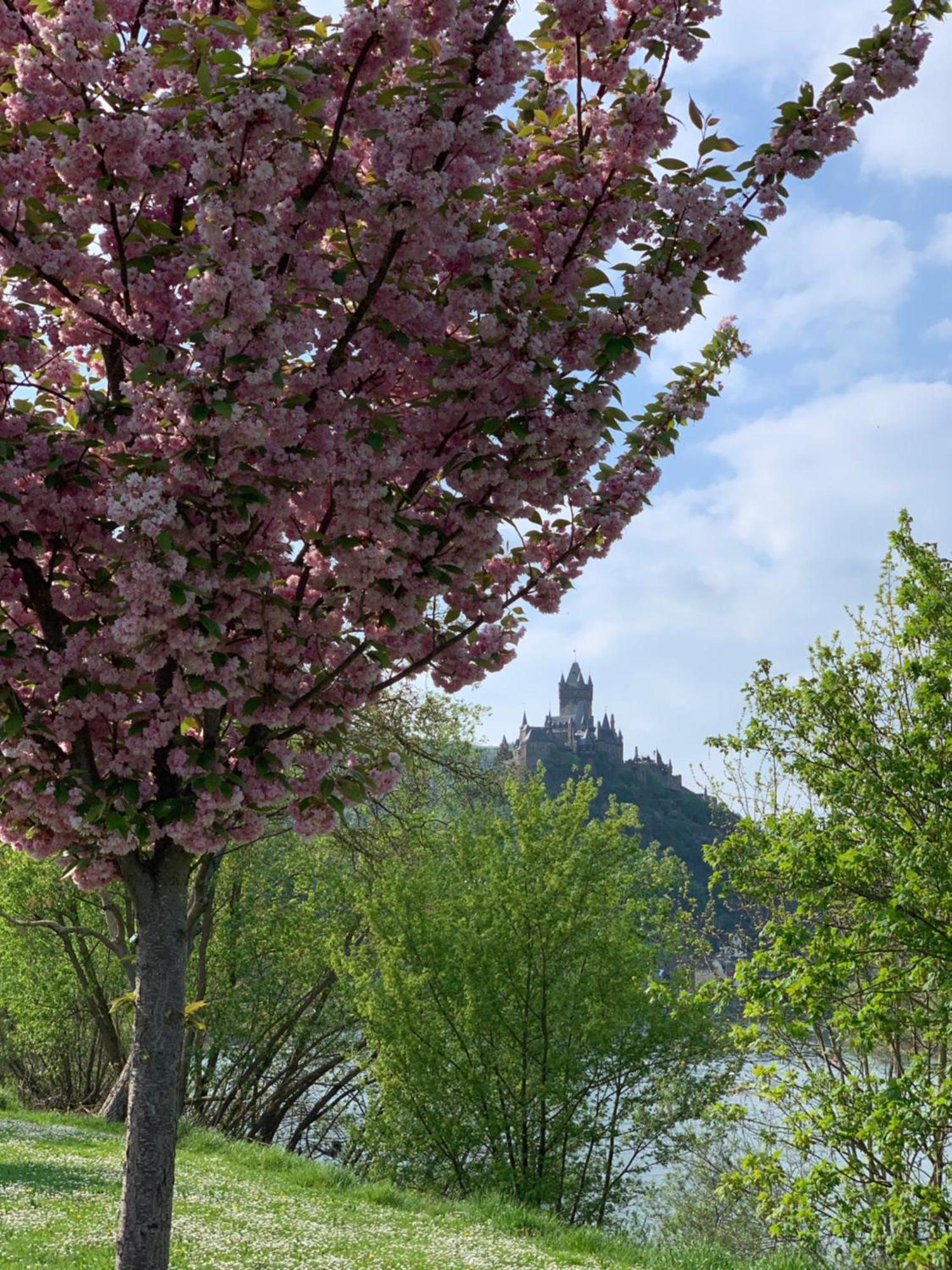 Stumbergers Hotel Cochem Exterior foto